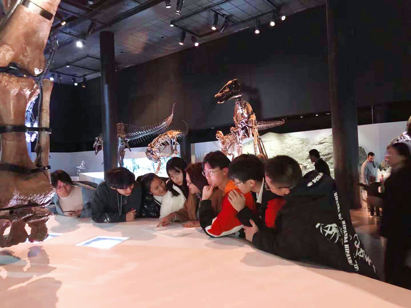 微信图片_20200113110350_副本.jpg 微信图片_20200113110350_副本.jpg